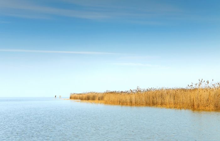 ferienwohnung wulkatal neusiedler see