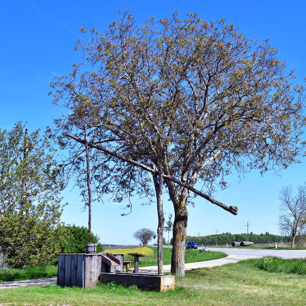 ferienwohnung wulkatal ziehbrunnen